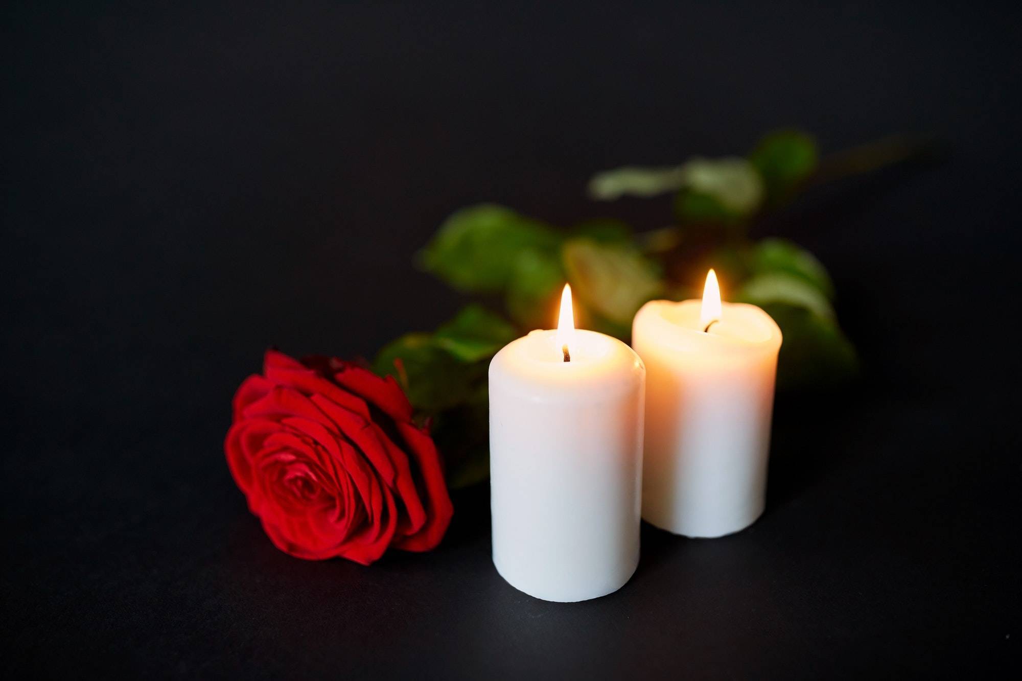 red rose and burning candles over black background